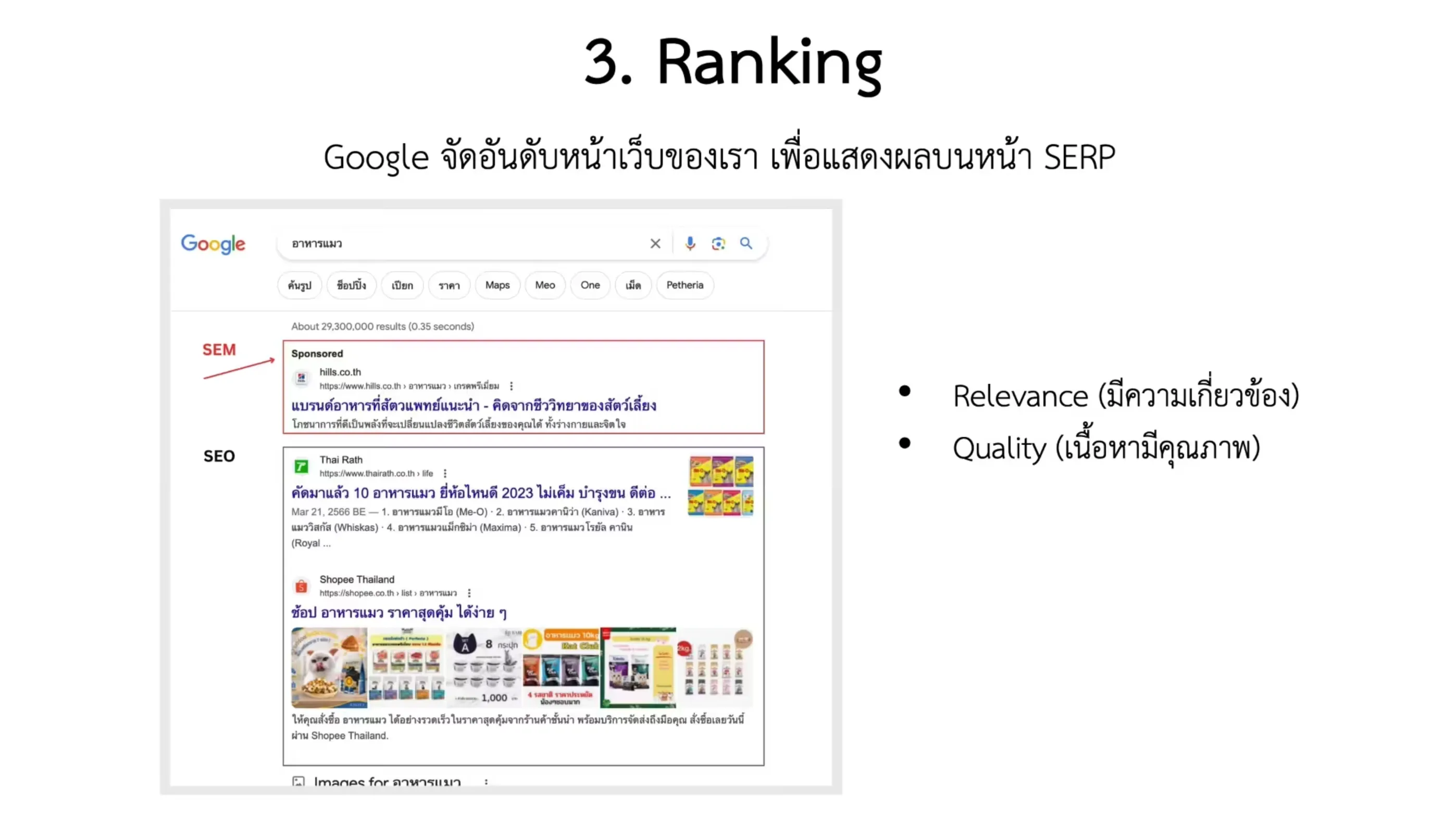 SEO 101 สำหรับผู้เริ่มต้น (เรียนฟรี 100%)