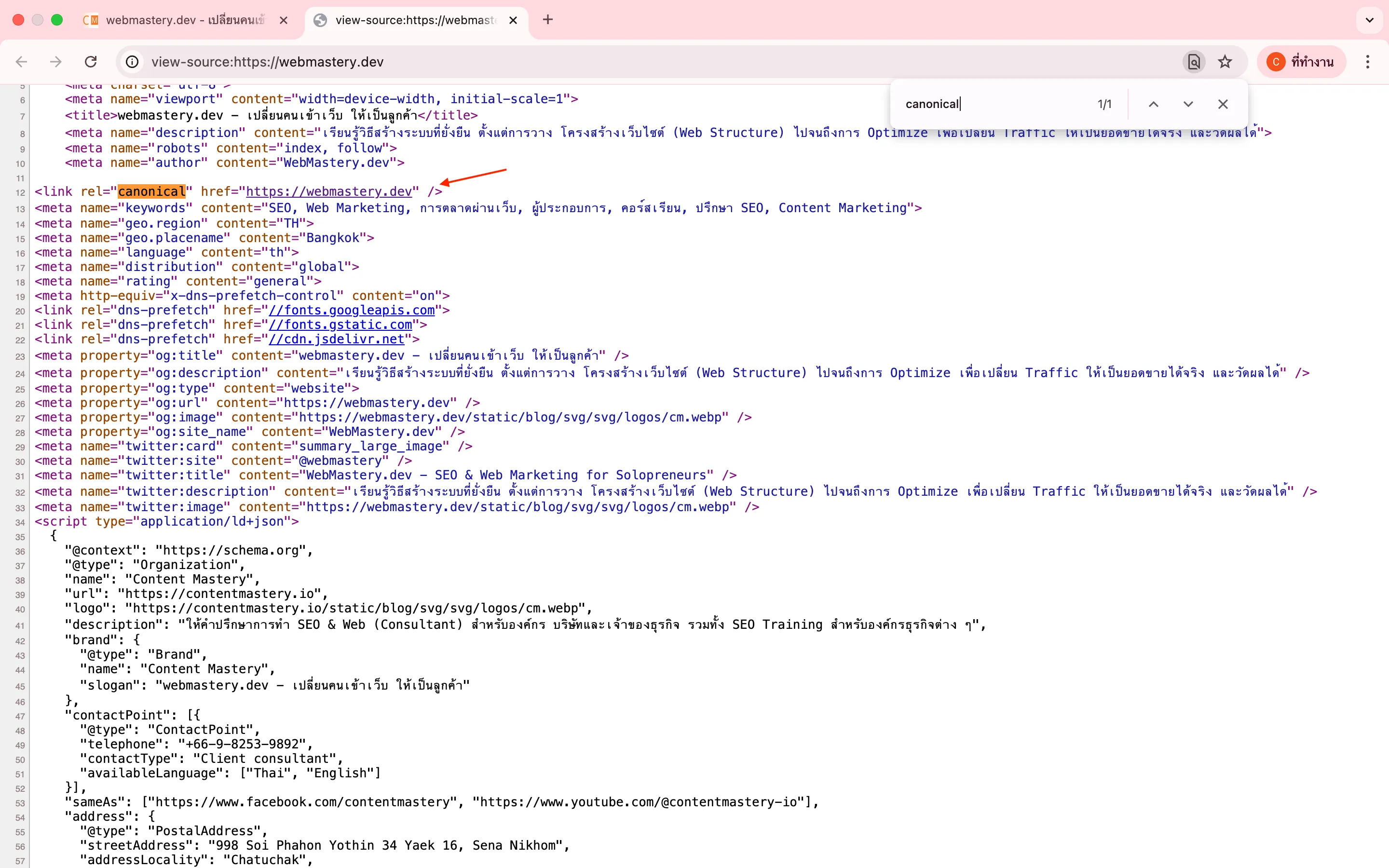 ตัวอย่าง Canonical Tag (ของ Web Mastery)