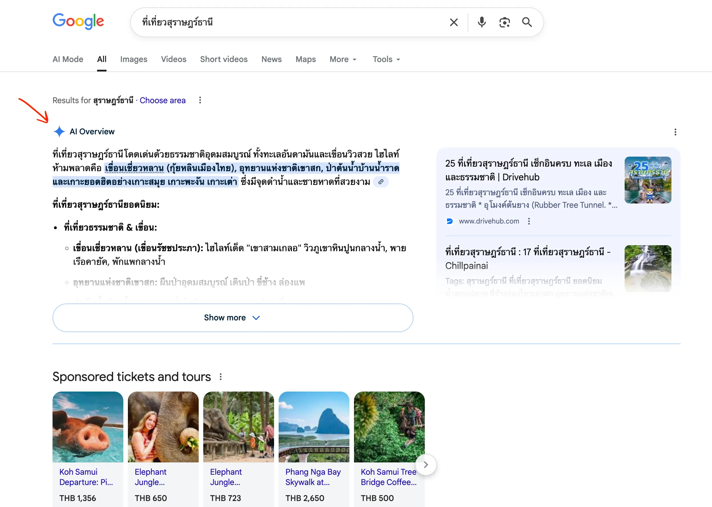 ตัวอย่าง AI Overview (SGE) บน Google Search
