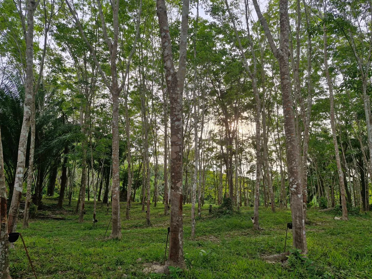 ราคายุติธรรม จ่ายเงินทันที