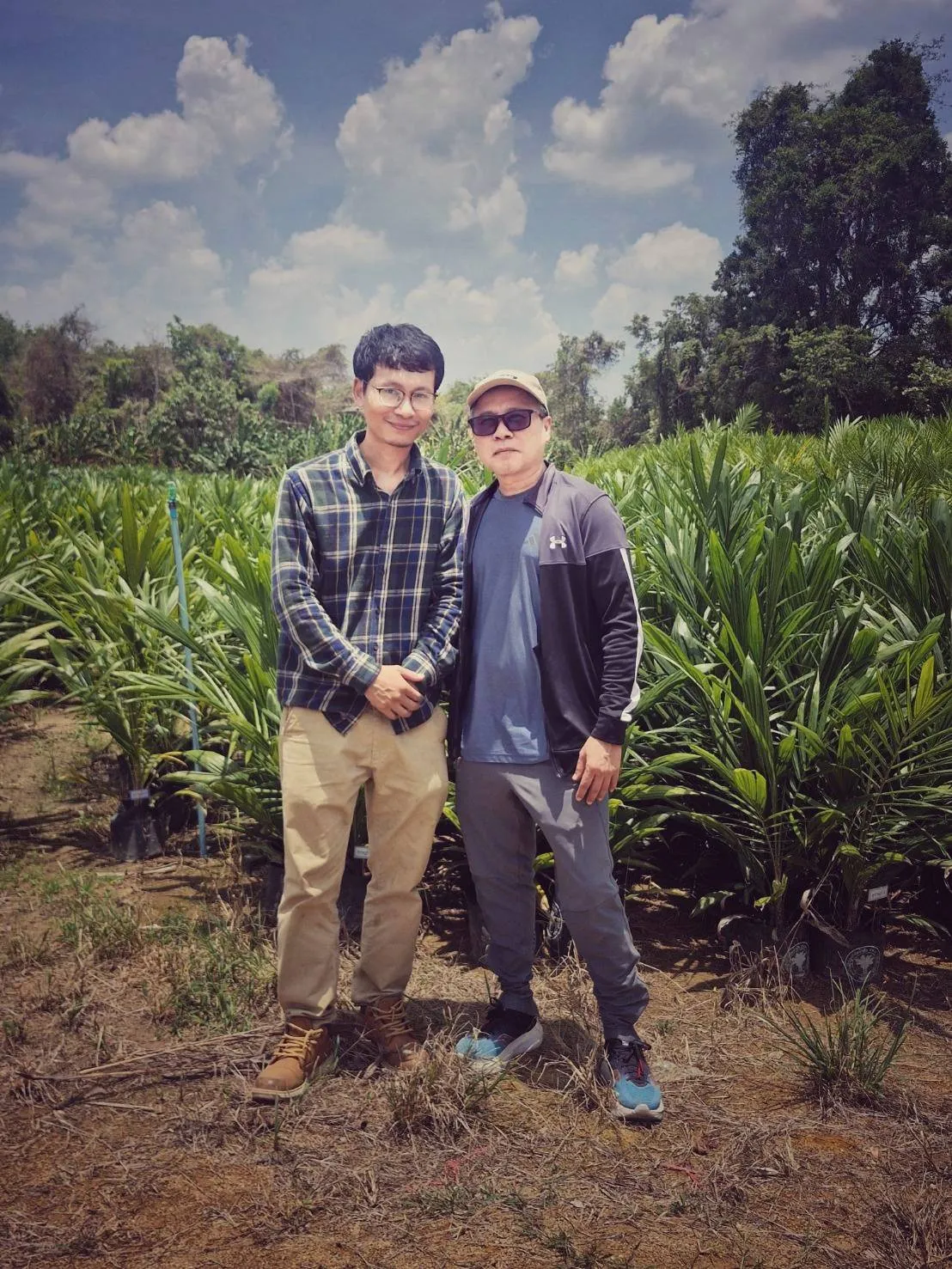 นายหัวจากภูเก็ต สั่งพันธุ์ปาล์มสุราษฎร์ 2 จำนวน 700 ต้น