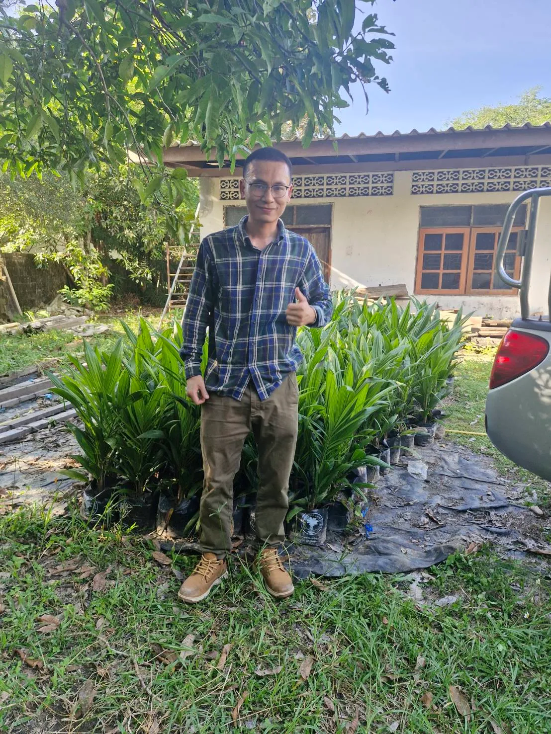 ส่งพันธุ์ปาล์มสุราษฎร์ 2 และ 7 บ.ทุ่งมะพร้าว พังงา